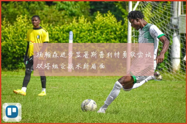 杨瀚森进步显著斯普利特勇敢尝试双塔组合战术新局面